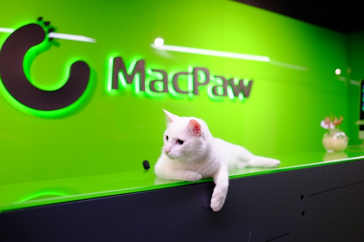 Від мурахи до собаки: які неймовірні тварини живуть в офісах та як компанії стати pet-friendly