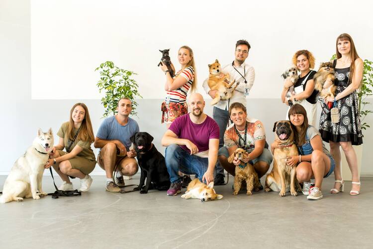 Від мурахи до собаки: які неймовірні тварини живуть в офісах та як компанії стати pet-friendly