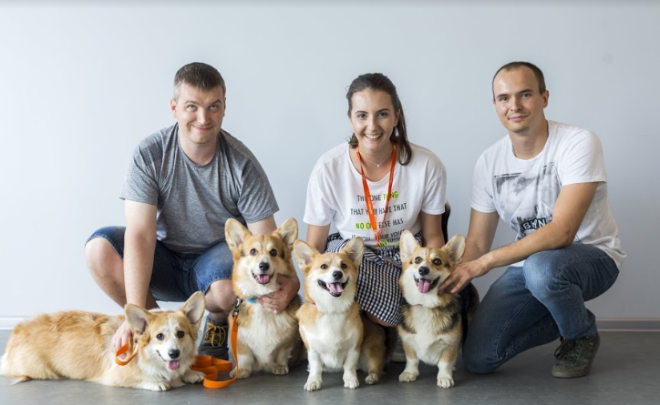 Від мурахи до собаки: які неймовірні тварини живуть в офісах та як компанії стати pet-friendly