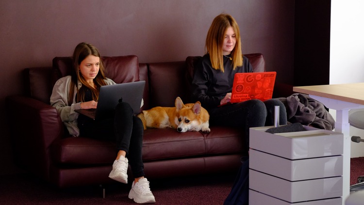 Від мурахи до собаки: які неймовірні тварини живуть в офісах та як компанії стати pet-friendly