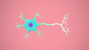 Нейрорекрутинг, или Как мозг принимает оффер: 4 подсказки для рекрутеров&nbsp;