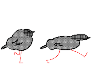 Немного о риторических вопросах и критике