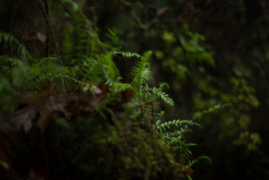 С любовью к миру: 10 гаджетов для заботы об экологии