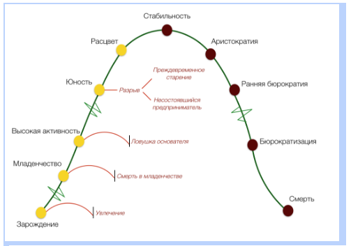 От HR-девочки к бизнес-партнеру.