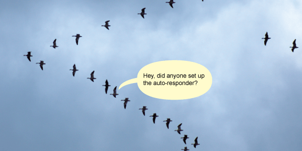 О миграции программистов в отпускной период