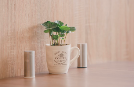 КАК INDIGO К OWOX В ГОСТИ ХОДИЛИ